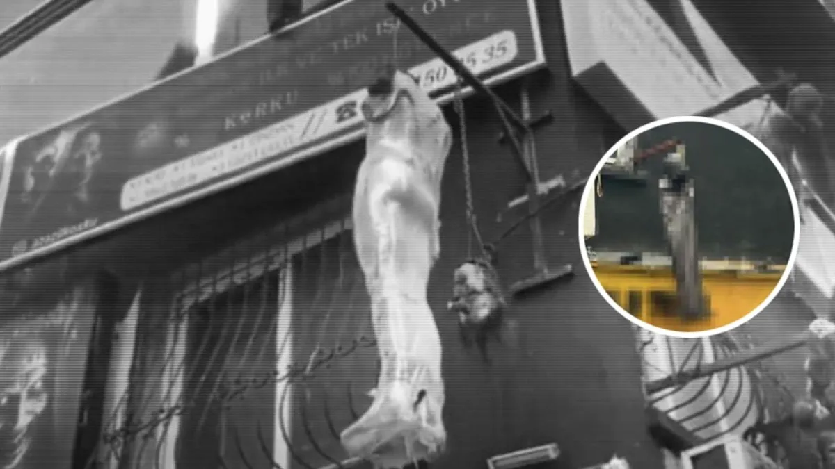 İzmir’de tepki çeken korku evi: Kanlı baş, kanlı çocuk maketi ve kafatası! İdari işlem başlatıldı